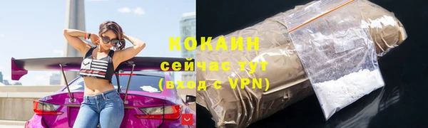 соль ск Михайлов