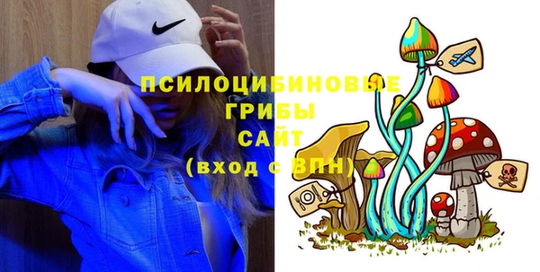соль ск Михайлов
