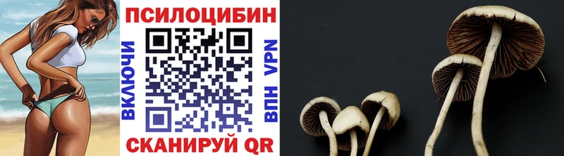 Галлюциногенные грибы GOLDEN TEACHER  где купить наркоту  Усолье 